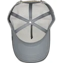 cepice-zaoblena-seda-snapback-eye-of-the-tiger-the-farm-goorin-bros