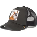 cepice-zaoblena-zadne-zvire-cerna-snapback-perro-bulldog-butch-the-farm-de-goorin-bros