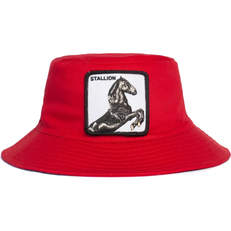 kbeliky-cervena-stallion-im-a-little-hoarse-the-farm-goorin-bros