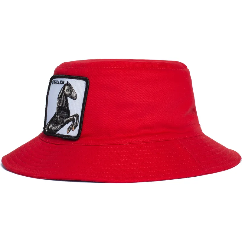 kbeliky-cervena-stallion-im-a-little-hoarse-the-farm-goorin-bros