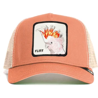 cepice-zaoblena-ruzova-snapback-big-flirt-the-farm-goorin-bros