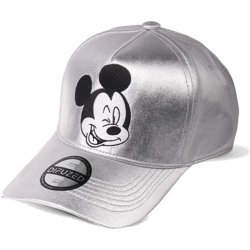 cepice-zaoblena-seda-snapback-plateada-difuzed
