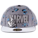 cepice-rovna-seda-snapback-true-power-difuzed