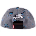 cepice-rovna-seda-snapback-true-power-difuzed
