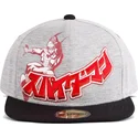 cepice-rovna-seda-snapback-japanese-difuzed