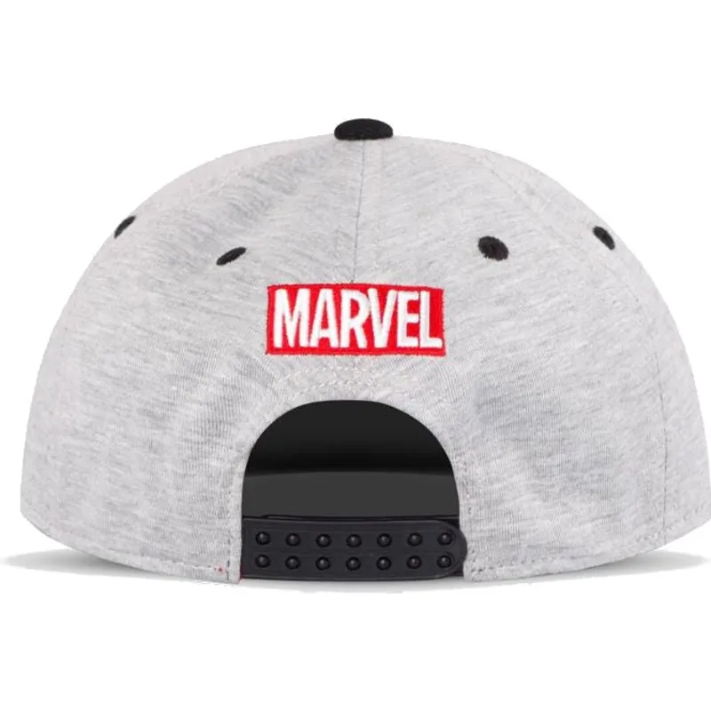 cepice-rovna-seda-snapback-japanese-difuzed