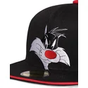 cepice-rovna-cerna-snapback-space-jam-difuzed