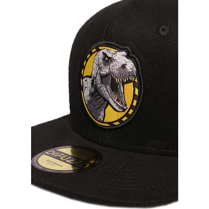 cepice-rovna-cerna-snapback-difuzed
