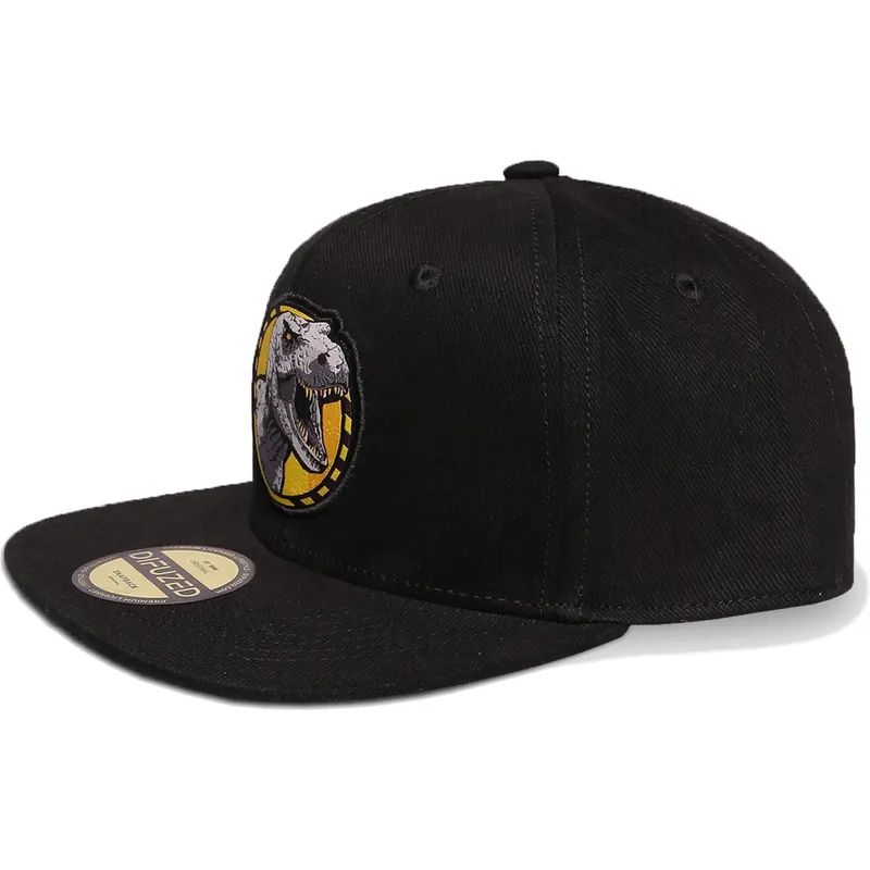 cepice-rovna-cerna-snapback-difuzed