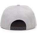 cepice-rovna-seda-snapback-sony-difuzed