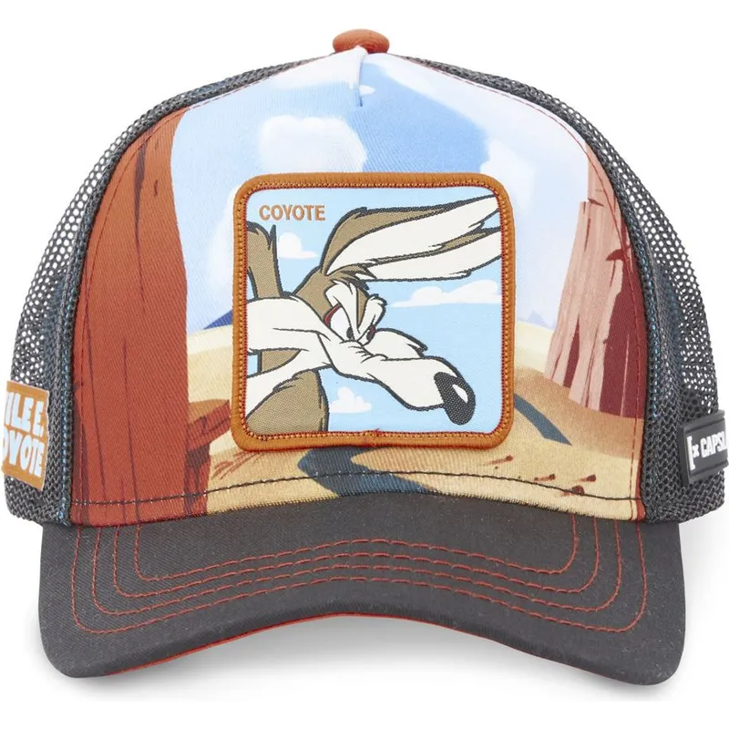 cepice-zaoblena-vicebarevna-snapback-loo5-coy2-kojot-looney-tunes-capslab