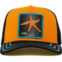 cepice-zaoblena-oranzova-snapback-mar-baby-i-m-a-star-the-farm-goorin-bros