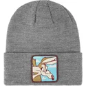 cepice-seda-bon-coy2-kojot-looney-tunes-capslab