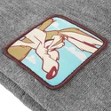 gra-mossa-coyote-bon-coy2-looney-tunes-fran-capslab