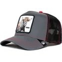 cepice-zaoblena-cerna-snapback-reflective-the-farm-goorin-bros
