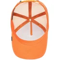 cepice-zaoblena-oranzova-snapback-the-lone-wolf-the-farm-goorin-bros