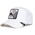 cepice-zaoblena-bila-snapback-platinum-word-the-farm-goorin-bros