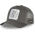 cepice-zaoblena-seda-snapback-tom-looney-tunes-capslab