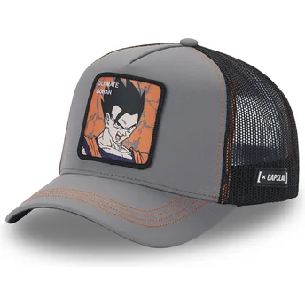 Cap zaoblená gray snapback Son Gohan Dragon Ball Capslab