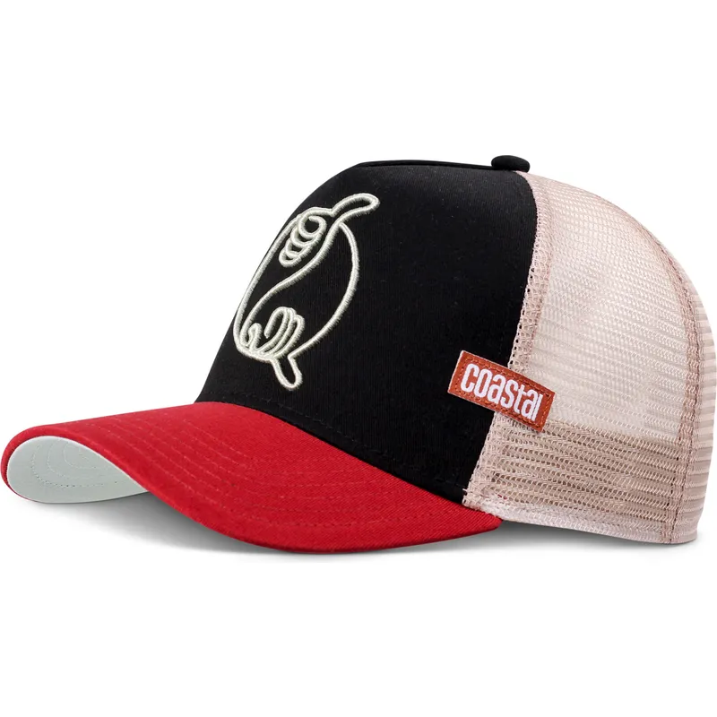 cap-zaoblena-multicolor-snapback-coastal cap-zaoblena-multicolor-snapback-coastal