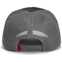 cap-zaoblena-violet-snapback-goorin-bros-beat-dead-horse-horse-play-the-farm-purple-hat-the-farm-de-goorin-bros