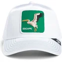 goorin-bros-pelican-bird-escape-not-into-yoga-great-escape-the-farm