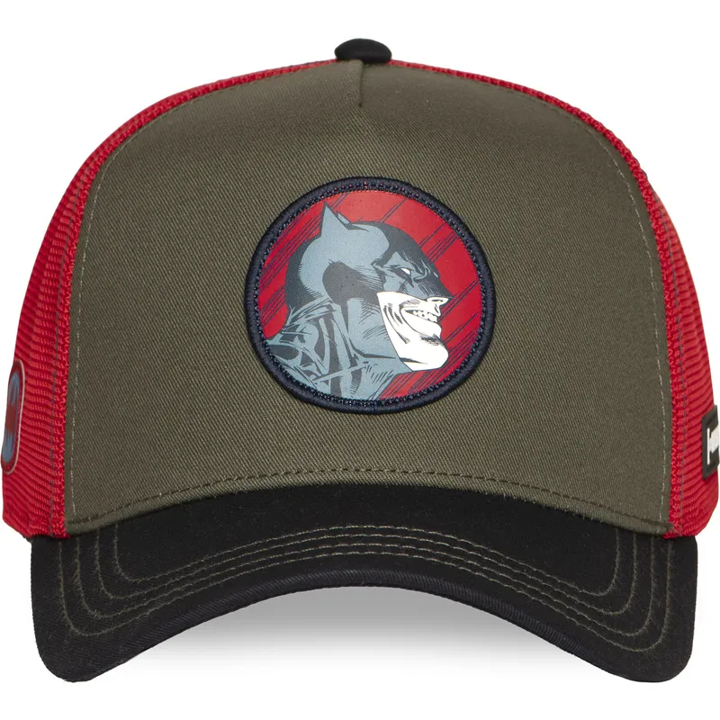 cepice-zaoblena-vicebarevna-snapback-dc10-bat-ct-batman-dc-comics-capslab