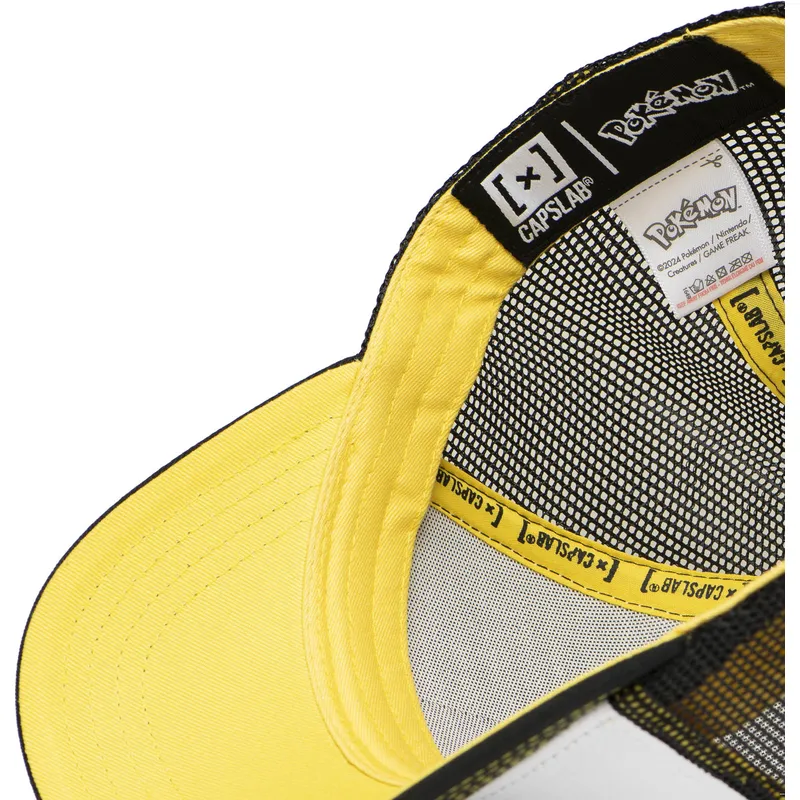 pikachu-pkm6-ele-pokemon-capslab