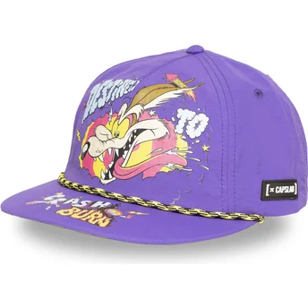 Čepice rovná fialová snapback Coyote LOO13 DTCB Looney Tunes Kojot Looney Tunes Capslab