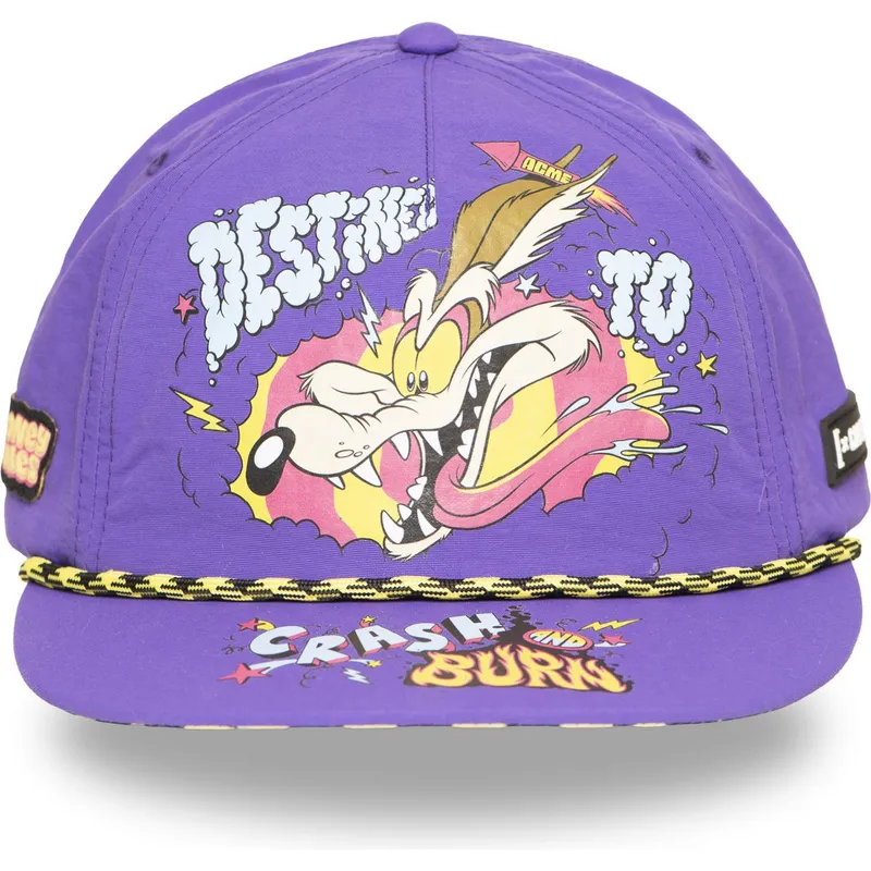 cepice-rovna-fialova-snapback-loo13-dtcb-kojot-looney-tunes-capslab
