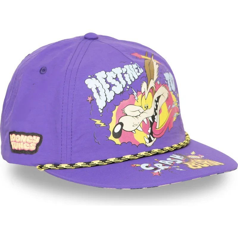 cap-rovna-violet-snapback-coyote-looney-tunes-capslab cap-rovna-violet-snapback-coyote-looney-tunes-capslab
