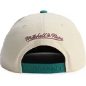 cepice-rovna-zelena-snapback-across-the-board-anaheim-ducks-nhl-mitchell-ness