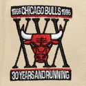 cap-rovna-black-snapback-across-the-board-chicago-bulls-nba-mitchell-ness