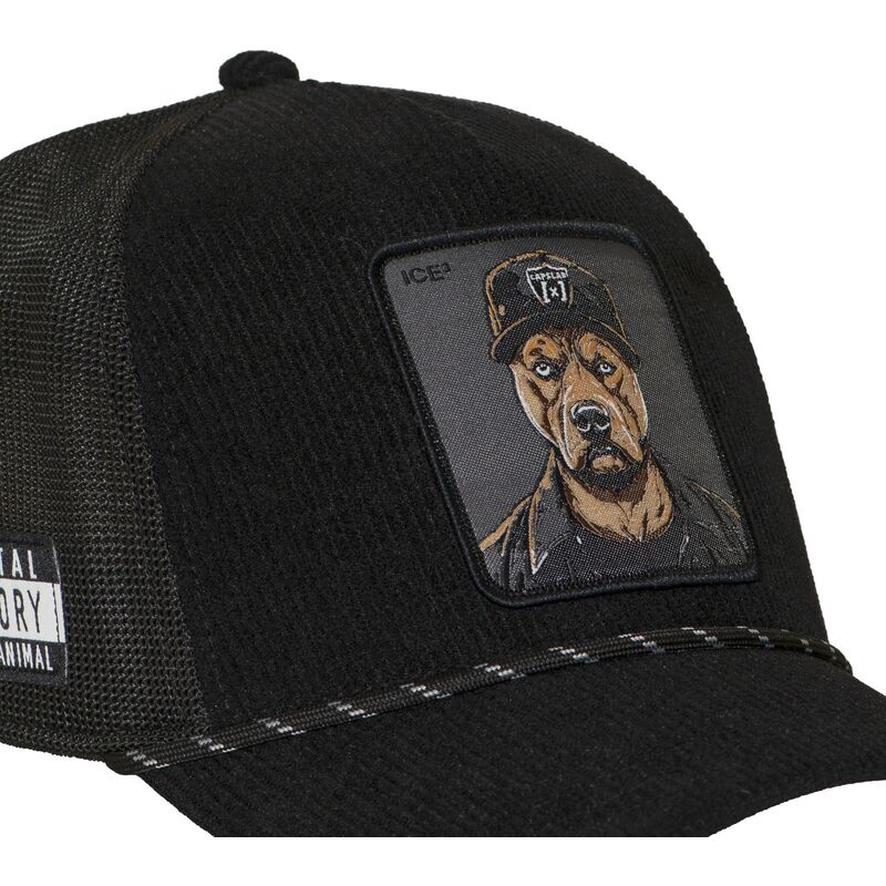 cepice-zaoblena-zadne-zvire-cerna-snapback-bad-dog-hip-badb-hip-hop-dogz-hip-hop-dogz-capslab