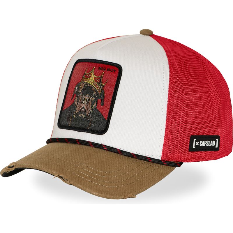 cap-zaoblena-multicolor-snapback-hip-hop-dogz-capslab
