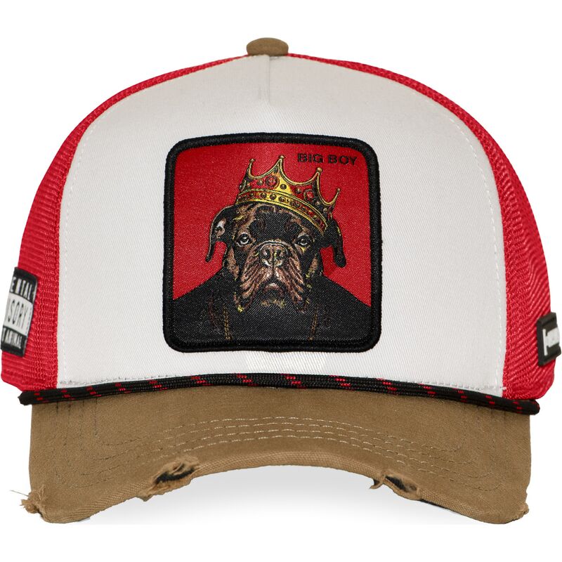 cepice-zaoblena-vicebarevna-snapback-big-boy-bigb-hip-hop-dogz-capslab cepice-zaoblena-vicebarevna-snapback-big-boy-bigb-hip-hop-dogz-capslab