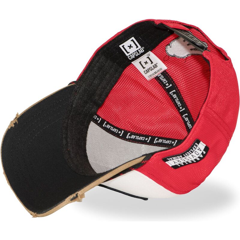 cap-zaoblena-multicolor-snapback-hip-hop-dogz-capslab