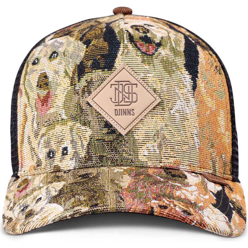 cepice-zaoblena-vicebarevna-snapback-hft-crasy-sofa-dogs-djinns